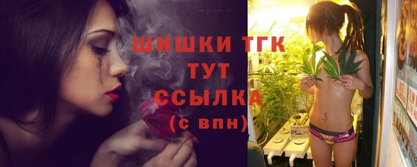 mix Пересвет