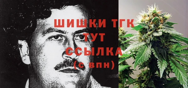 mix Пересвет