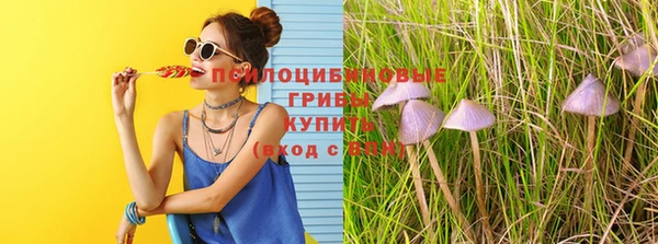 тгк Абаза