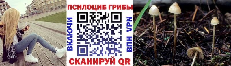 Псилоцибиновые грибы Magic Shrooms  Поворино 